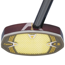 キング花梨ゴールドマスターボールを狙うターゲットライン