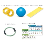 ゲートボール用品その他 健康器具の自立体力トレーニング基本セットNH5903
